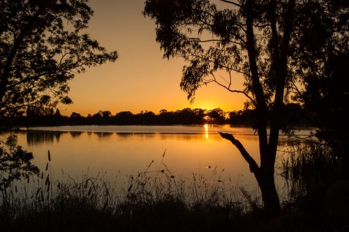 Gosling Creek  Reserve
